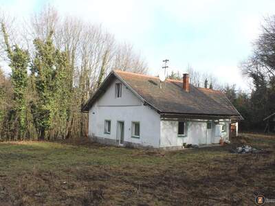 Haus kaufen in 7433 Bergwerk