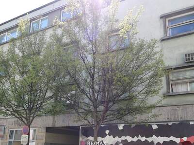 Anlageobjekt kaufen in 4600 Wels (Bild 2)