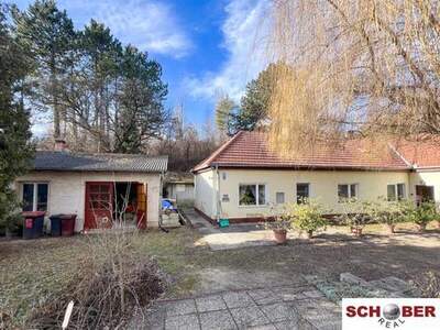 Haus kaufen in 2551 Enzesfeld