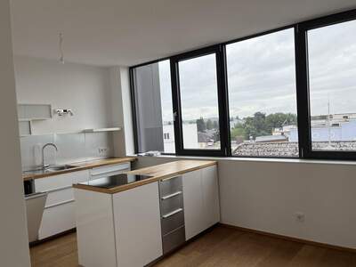 Mietwohnung in 4910 Ried (Bild 1)