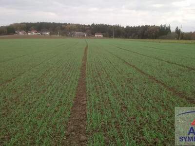 Grundstück kaufen in 4783 Wernstein