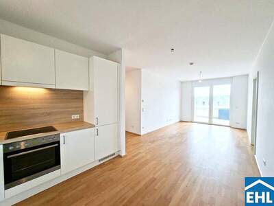 Terrassenwohnung mieten in 8020 Graz (Bild 1)
