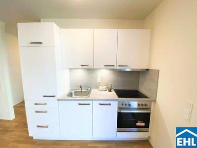 Terrassenwohnung mieten in 1100 Wien (Bild 3)