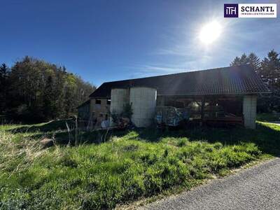 Grundstück kaufen in 8463 Fötschach (Bild 5)