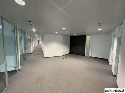 Gewerbeobjekt mieten in 1220 Wien (Bild 5)