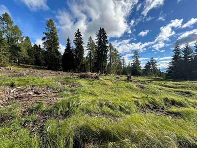 Grundstück kaufen in 9571 Albeck (Bild 3)