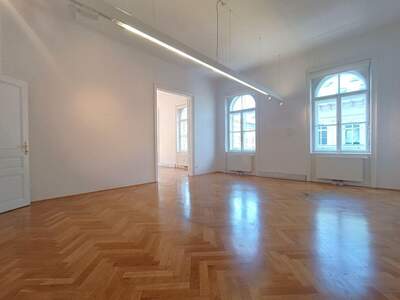 Gewerbeobjekt mieten in 1010 Wien (Bild 5)