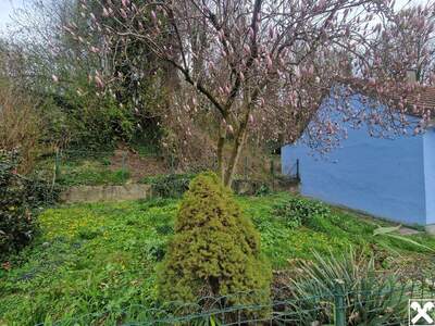 Haus kaufen in 3463 Stetteldorf (Bild 3)