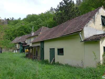 Grundstück kaufen in 3580 Mödring (Bild 4)