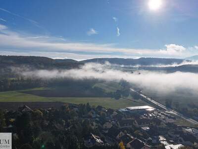 Grundstück kaufen in 2534 Alland (Bild 4)