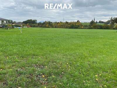 Grundstück kaufen in 4851 Gampern