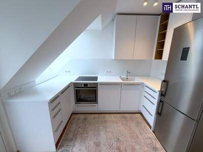 Terrassenwohnung kaufen in 1050 Wien (Bild 5)