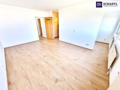 Wohnung kaufen in 1100 Wien (Bild 3)