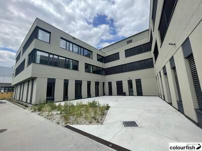 Gewerbeobjekt mieten in 1220 Wien (Bild 5)