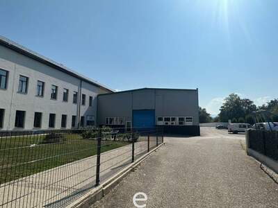 Gewerbeobjekt mieten in 4523 Sierning (Bild 5)