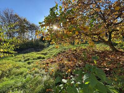 Haus kaufen in 8052 Graz (Bild 4)