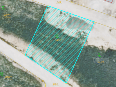 Grundstück kaufen in 4362 Bad Kreuzen