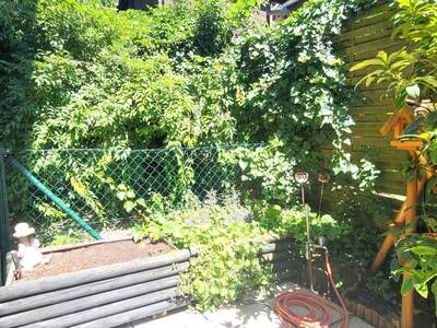 Terrassenwohnung kaufen in 3002 Purkersdorf (Bild 2)