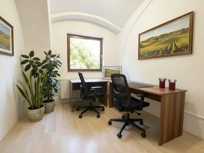 Gewerbeobjekt mieten in 1190 Wien