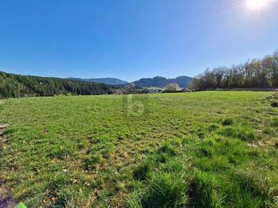 Grundstück kaufen in 9560 Feldkirchen (Bild 2)