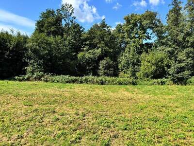 Grundstück kaufen in 4770 Andorf (Bild 2)