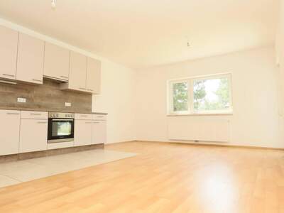 Wohnung mieten in 1220 Wien