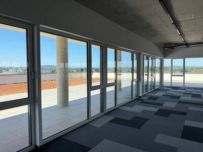 Gewerbeobjekt mieten in 8430 Leibnitz (Bild 3)