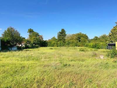 Grundstück kaufen in 3424 Wolfpassing (Bild 1)