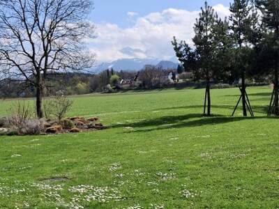 Wohnung mieten in 5020 Salzburg (Bild 2)