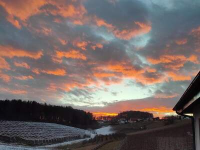 Bungalow kaufen in 8302 Nestelbach