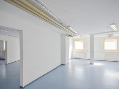 Gewerbeobjekt mieten in 1230 Wien (Bild 3)