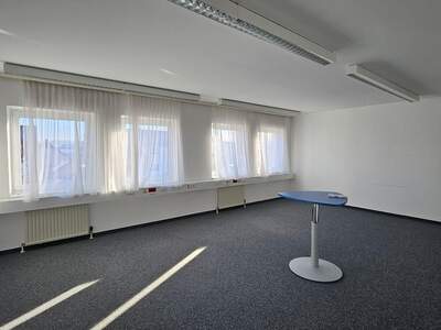 Gewerbeobjekt kaufen in 4600 Wels (Bild 3)