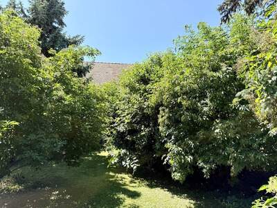 Grundstück kaufen in 1100 Wien