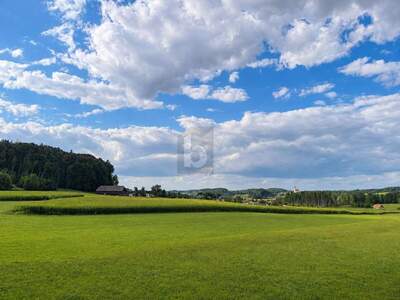 Penthouse kaufen in 5141 Moosdorf