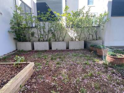 Wohnung mieten in 1170 Wien (Bild 3)