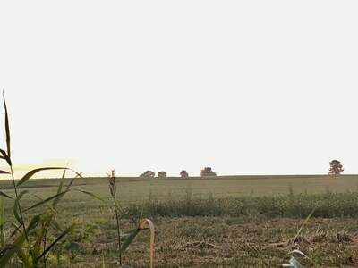 Grundstück kaufen in 7411 Markt Allhau