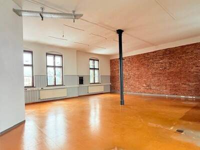 Gewerbeobjekt mieten in 1230 Wien