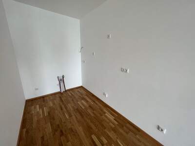 Terrassenwohnung mieten in 3300 Amstetten (Bild 3)