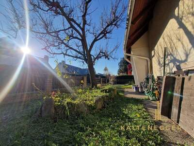 Haus kaufen in 1220 Wien