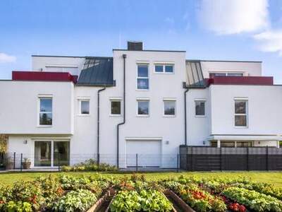 Haus kaufen in 1220 Wien