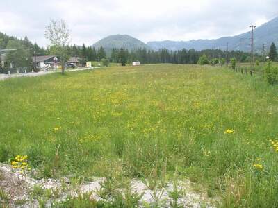 Grundstück mieten in 8630 Mariazell