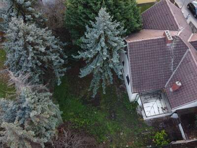 Haus kaufen in 2700 Wiener Neustadt