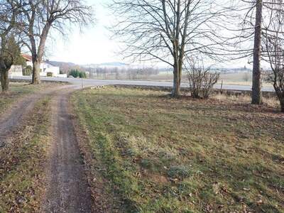 Gewerbeobjekt kaufen in 4912 Neuhofen (Bild 2)