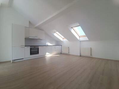 Terrassenwohnung kaufen in 1090 Wien (Bild 3)