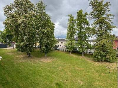 Mietwohnung in 4600 Wels (Bild 3)