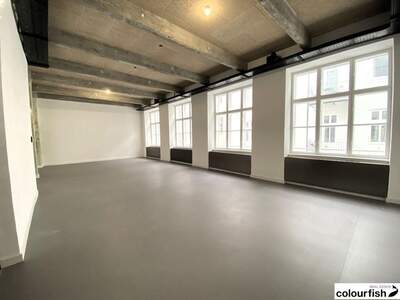 Gewerbeobjekt mieten in 1070 Wien (Bild 2)
