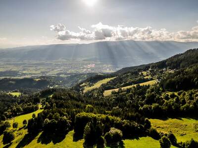 Wohnanlage kaufen in 9431 St. Stefan (Bild 3)