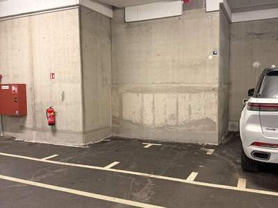 Halle / Lager / Produktion kaufen in 2320 Schwechat (Bild 5)