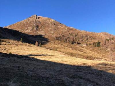 Gewerbeobjekt kaufen in 9832 Stall