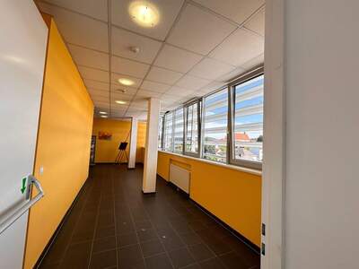 Gewerbeobjekt mieten in 8200 Gleisdorf (Bild 4)